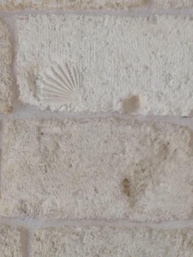 فيلا Casa Di Antonio بولينيانو آ ماري المظهر الخارجي الصورة